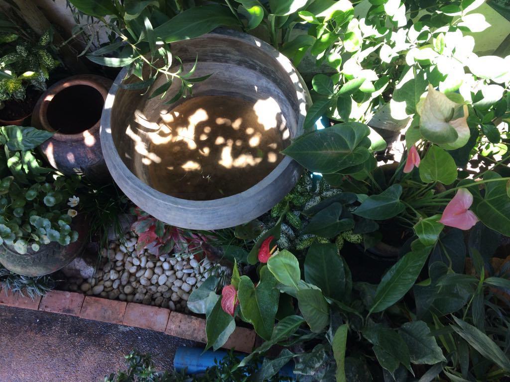 Sister House Chiangmai (Adults Only) Bed & Breakfast Chiang Mai Luaran gambar